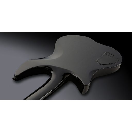 Framus D-Series Artist Line Devin Townsend Stormbender